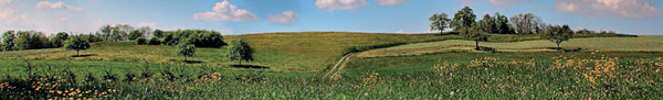 Landschaft Landschaft